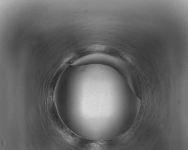 X0000081440172200701191657