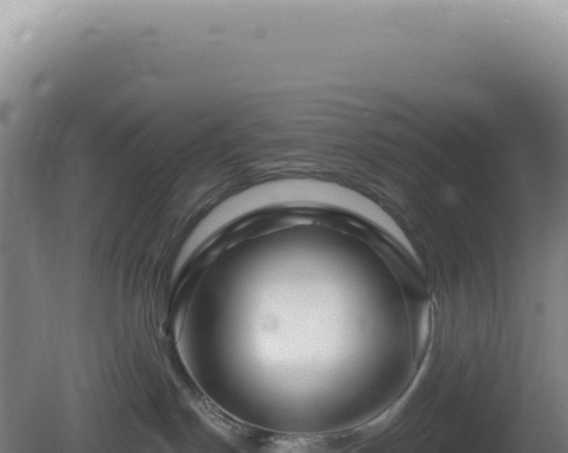 X0000081440190200701191657