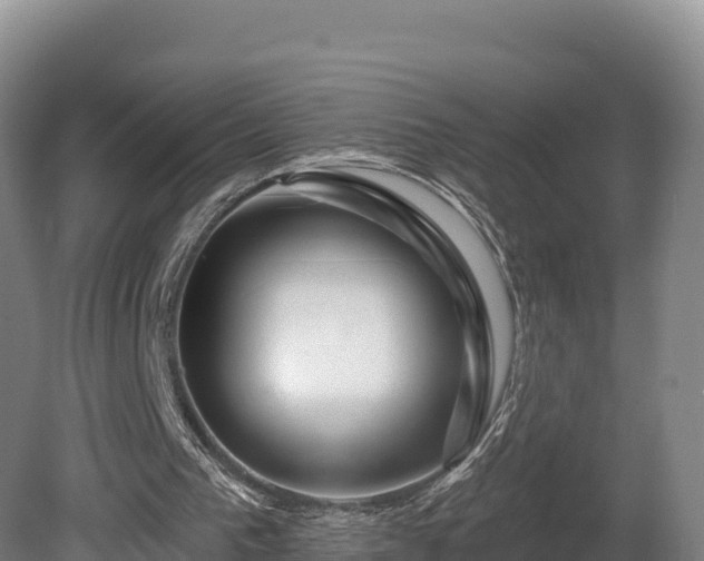 X0000081440193200701191657