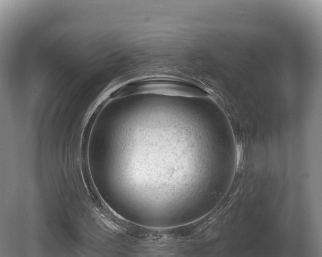 X0000081440195200701191657