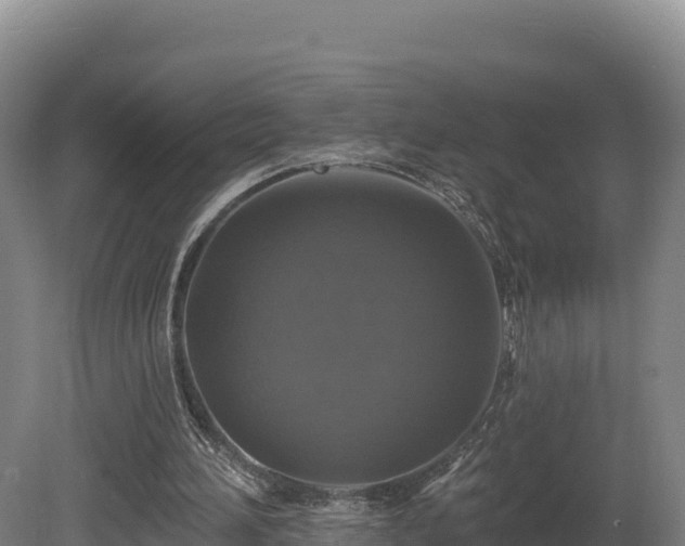 X0000081440196200701191656