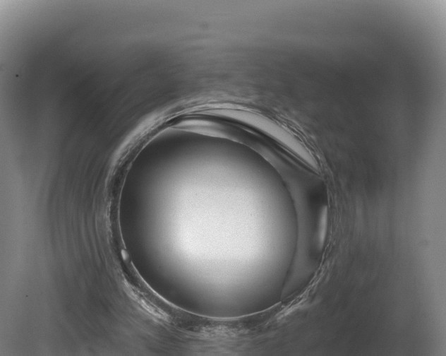 X0000081440197200701191656