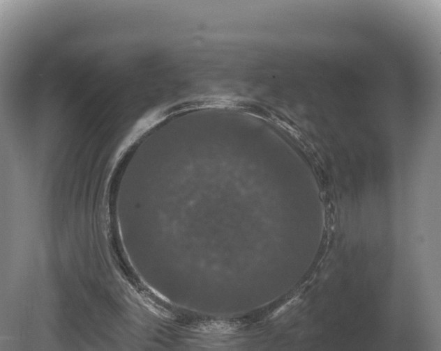 X0000081440198200701191656