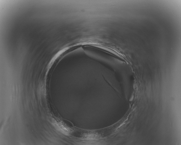 X0000081440200200701191656