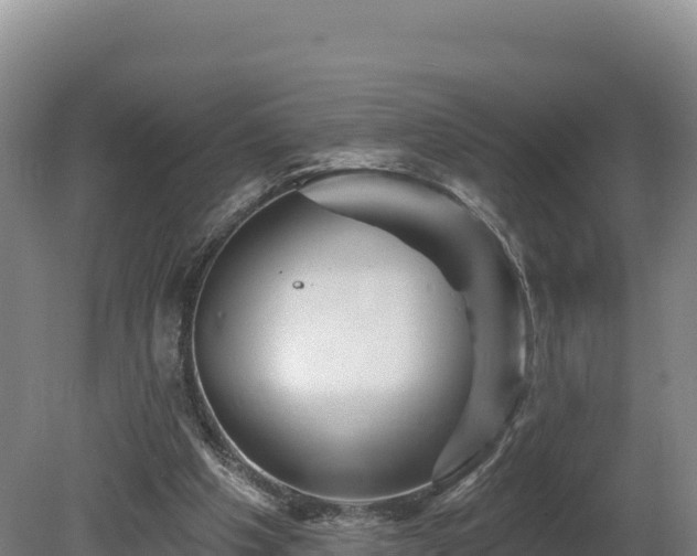 X0000081440201200701191656