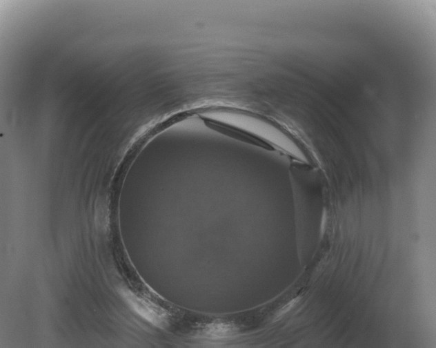 X0000081440204200701191656