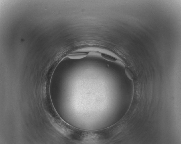 X0000081440206200701191656