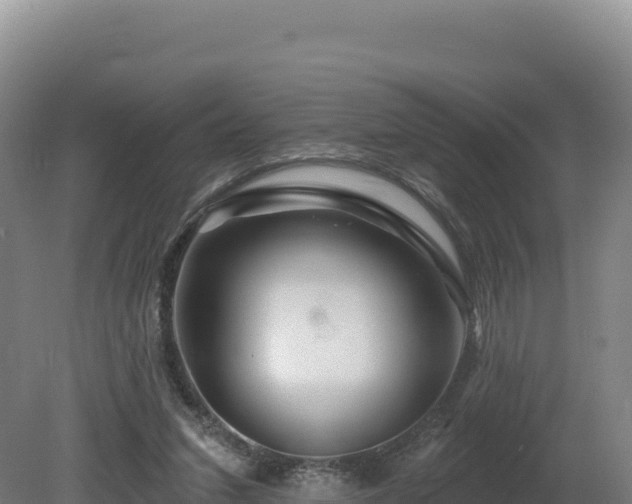 X0000081440207200701191656