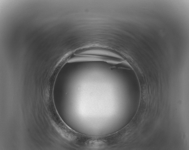 X0000081440208200701191656