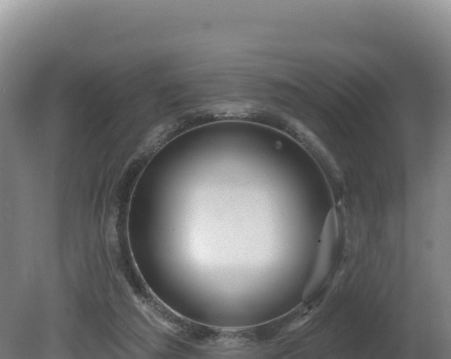 X0000081440209200701191656