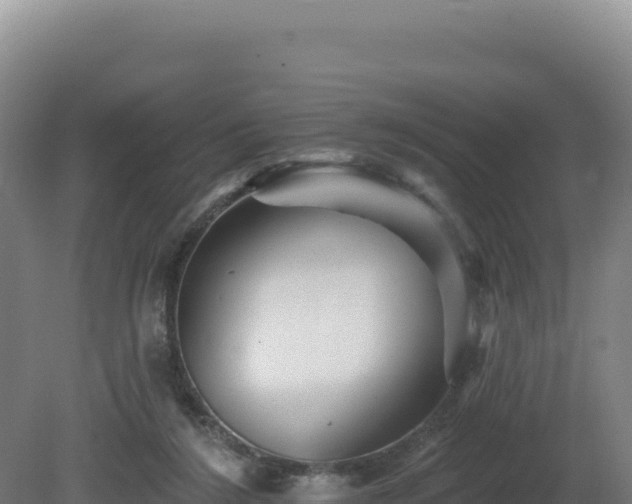 X0000081440212200701191656
