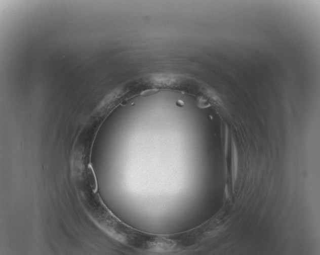 X0000081440215200701191656