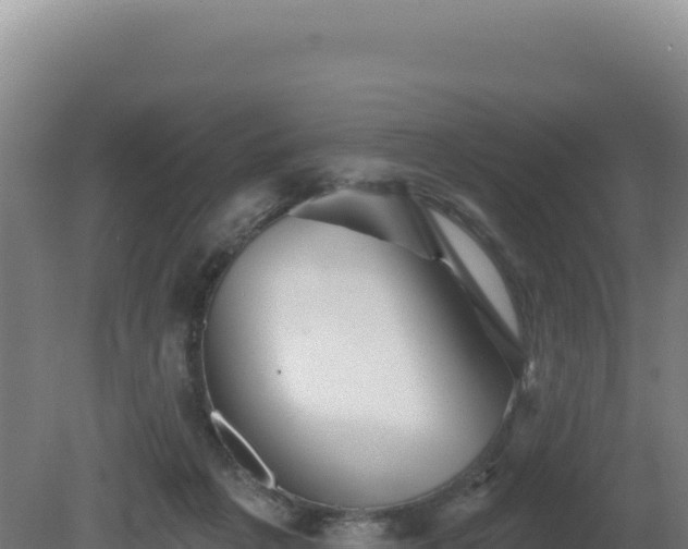 X0000081440217200701191656