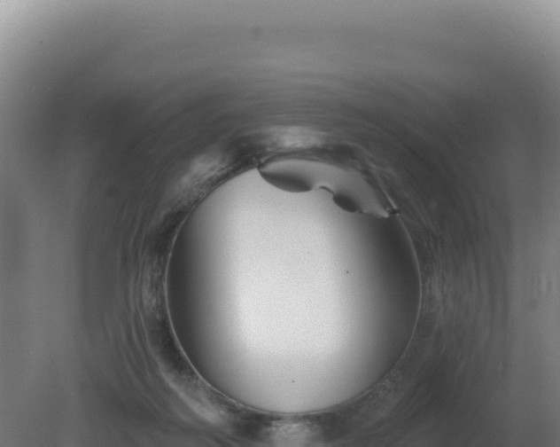 X0000081440218200701191656