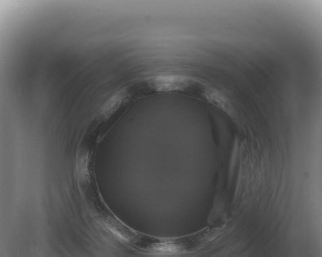 X0000081440219200701191656
