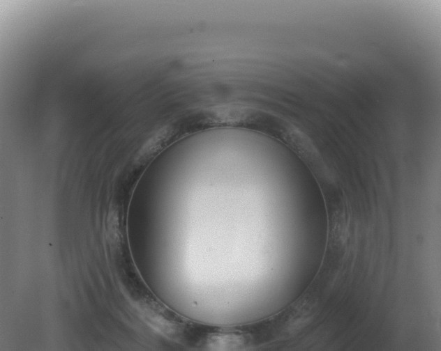 X0000081440220200701191656