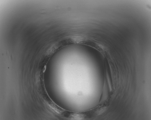 X0000081440221200701191656