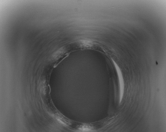 X0000081440223200701191656