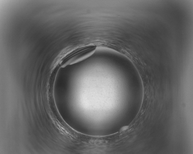 X0000081440242200701191655