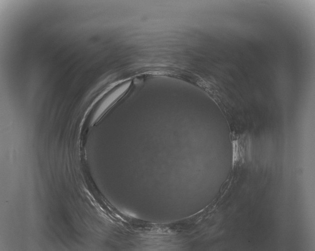 X0000081440243200701191655