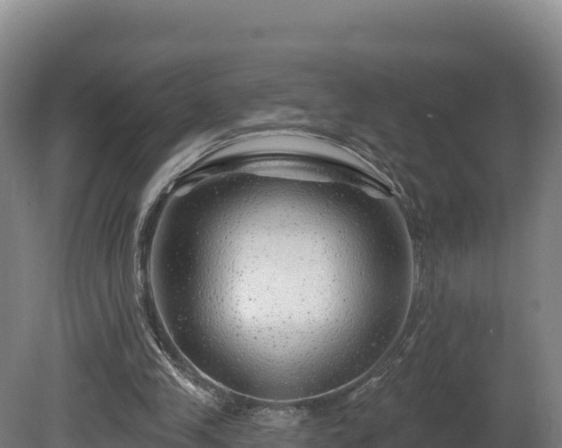 X0000081440245200701191655