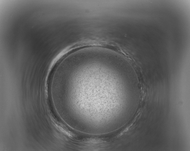 X0000081440246200701191655