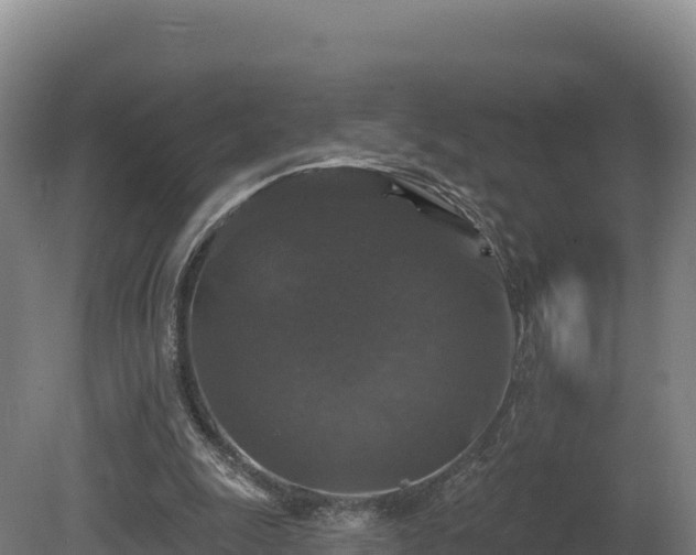 X0000081440247200701191655