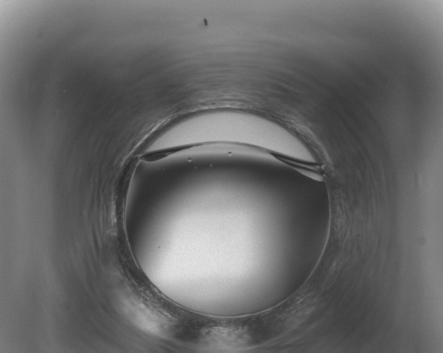 X0000081440251200701191655