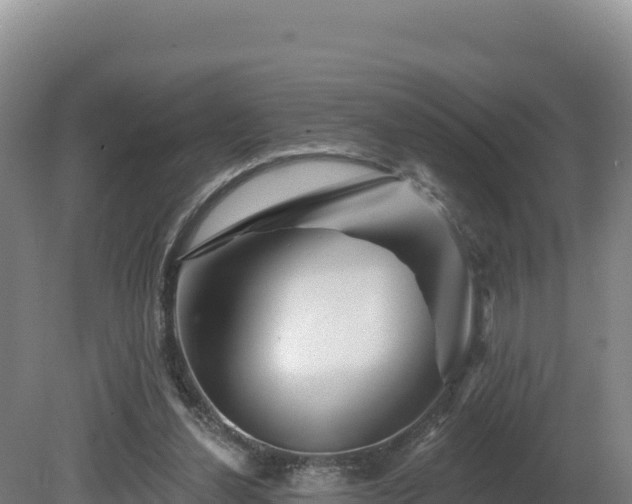 X0000081440252200701191655