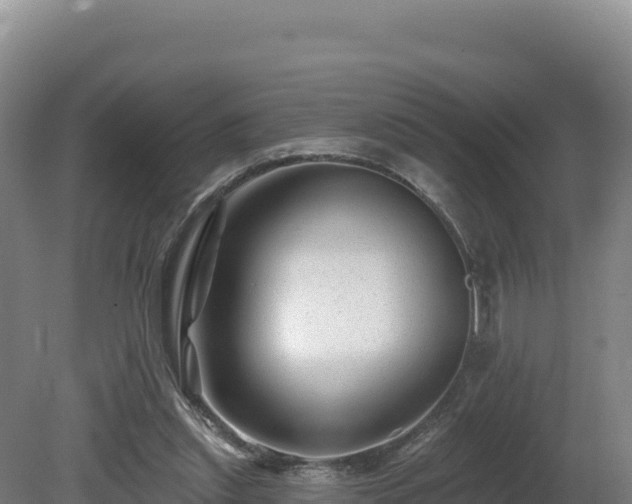 X0000081440253200701191655