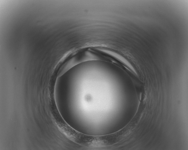 X0000081440256200701191655
