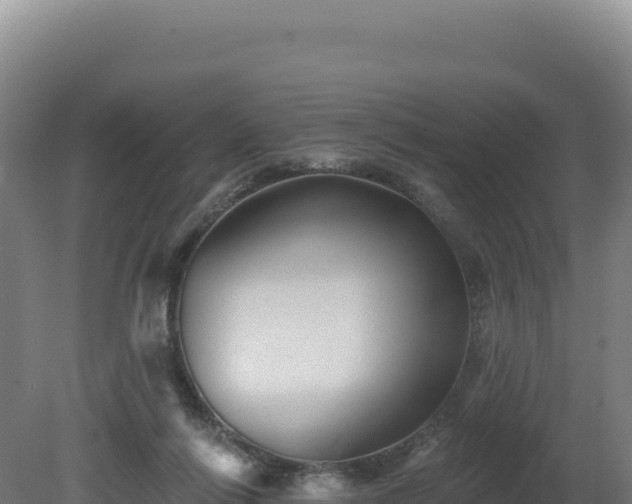 X0000081440262200701191655