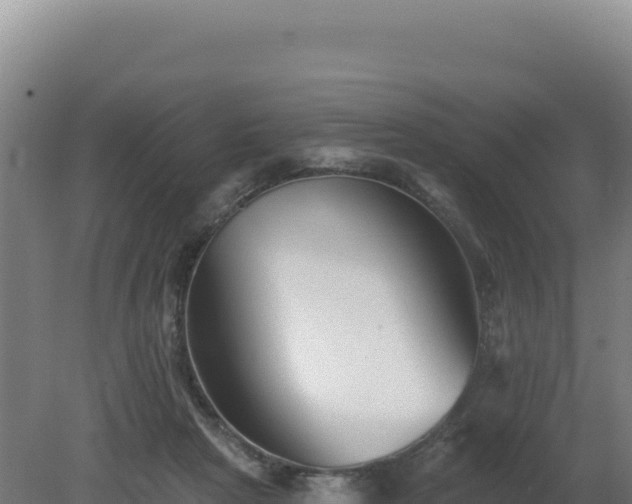 X0000081440265200701191655