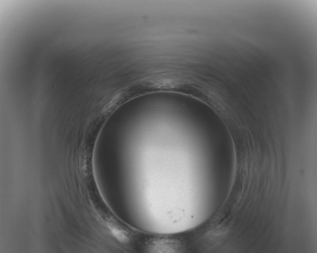 X0000081440268200701191655