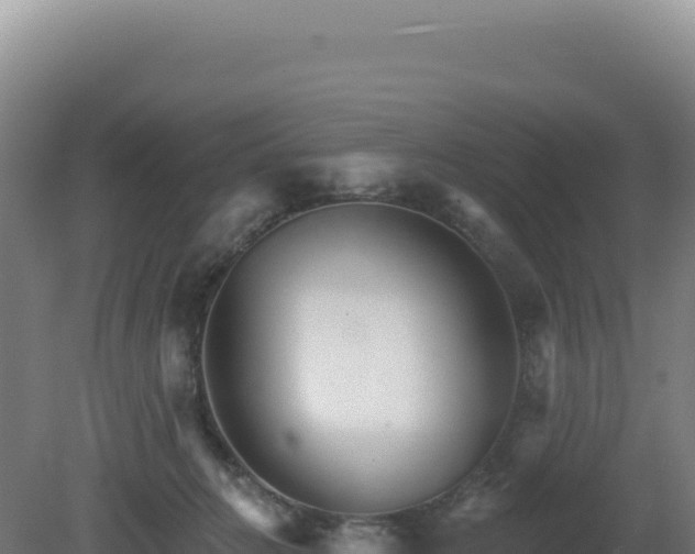X0000081440270200701191655
