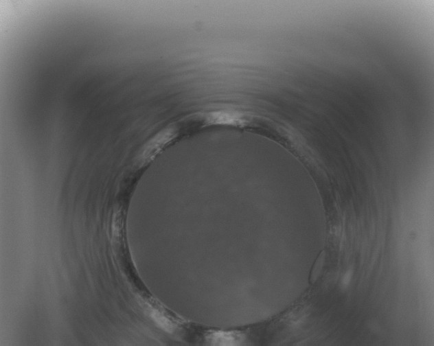 X0000081440277200701191656