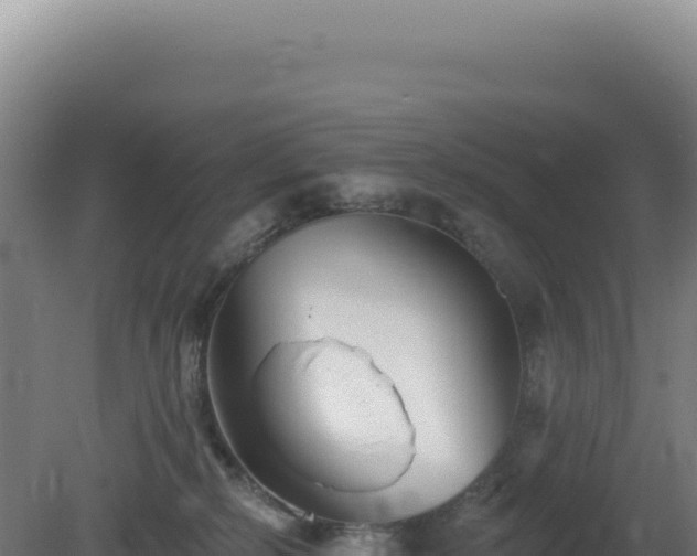 X0000081440278200701191656