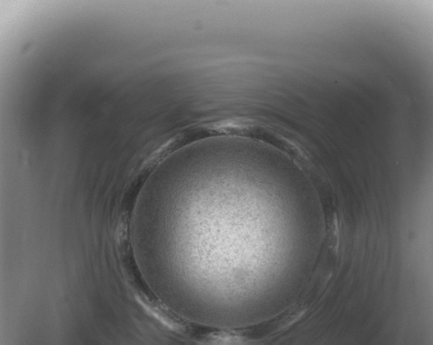 X0000081440284200701191656
