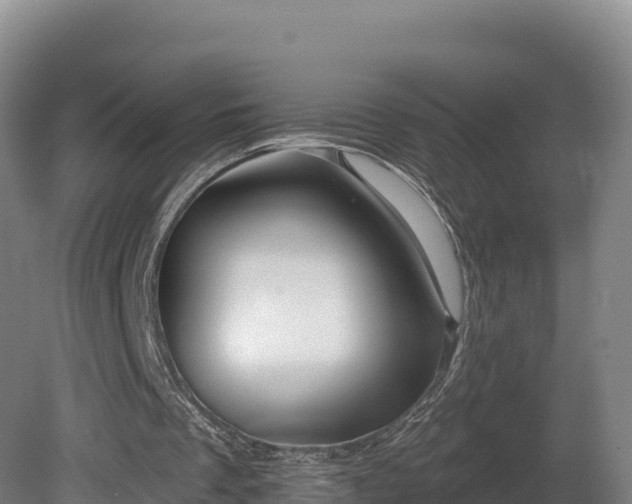 X0000081440289200701191655