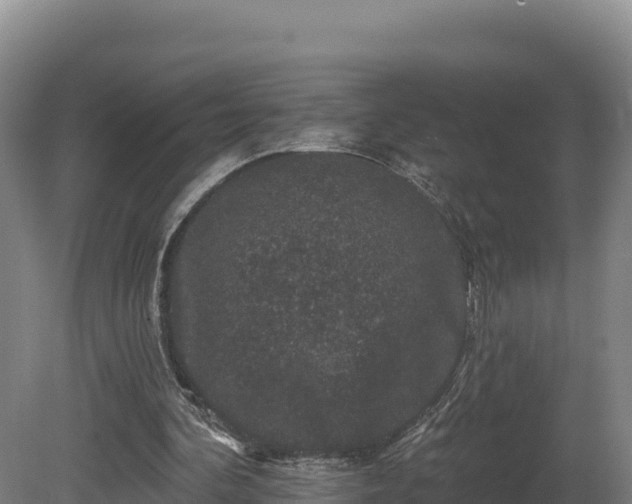 X0000081440292200701191655