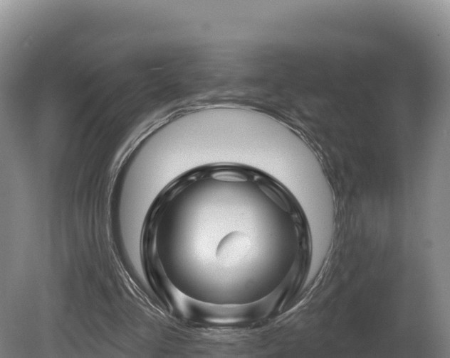 X0000081440293200701191655
