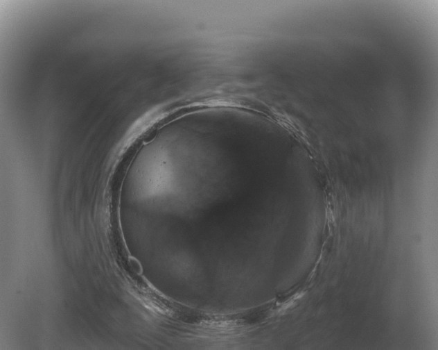 X0000081440295200701191655