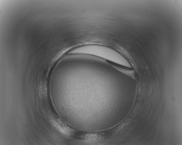 X0000081440298200701191655