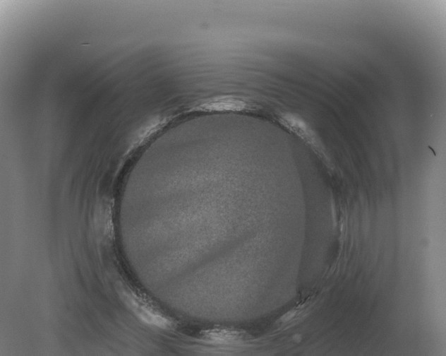 X0000081440300200701191655