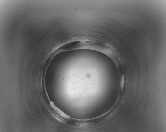 X0000081440301200701191655