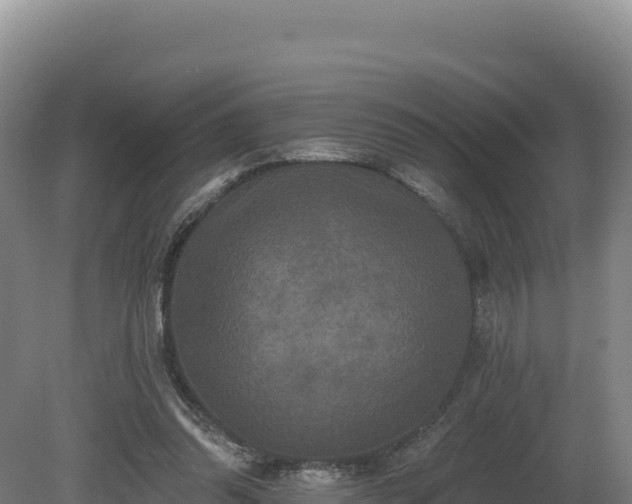 X0000081440302200701191655