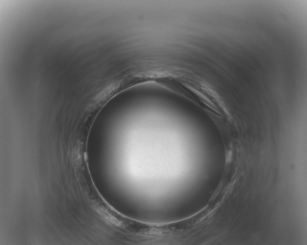 X0000081440305200701191655
