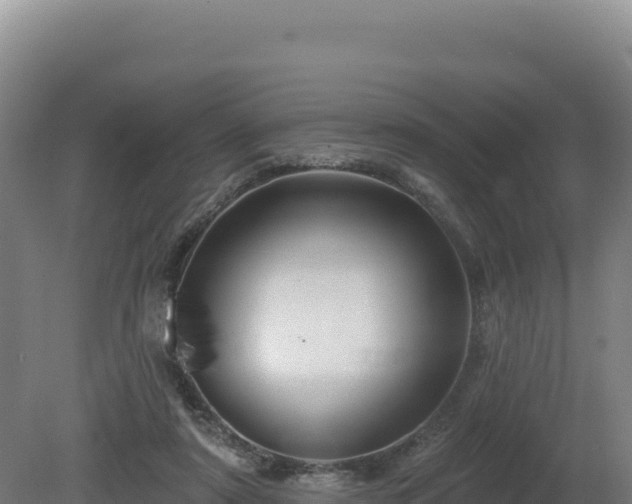 X0000081440307200701191655