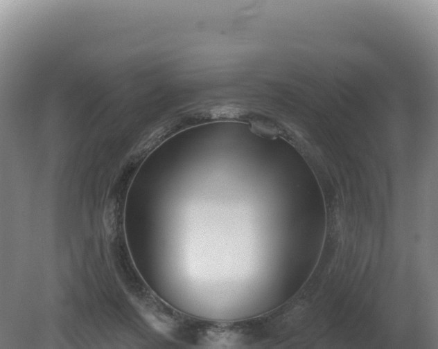 X0000081440311200701191655