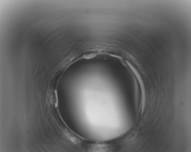 X0000081440313200701191655